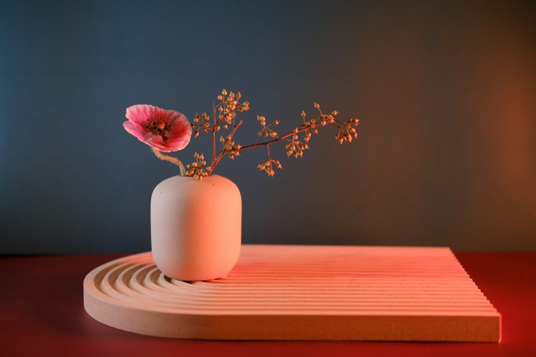 Pink flower and dried sprig in a minimal vase.